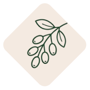 رزهیپ