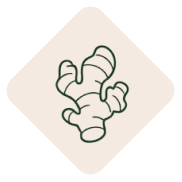 زنجبیل​