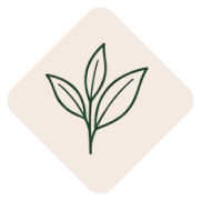 چای سبز