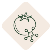 گوجه‌فرنگی (عصاره پودری و مایع)
